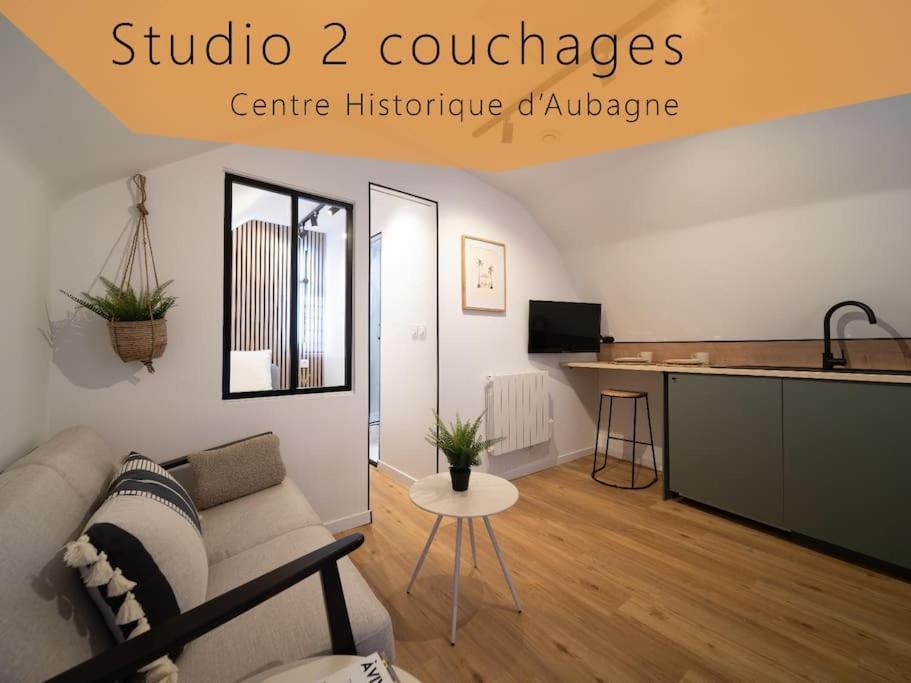 Le Cocon - Petit Studio 2 Couchages - Centre Historique 오바뉴 외부 사진